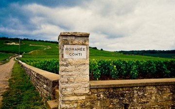 Imagem Por que os Vinhos da Domaine de La Romanée-Conti são tão cobiçados?