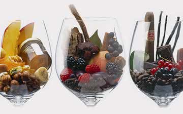 Conheça os compostos formam os aromas do vinho