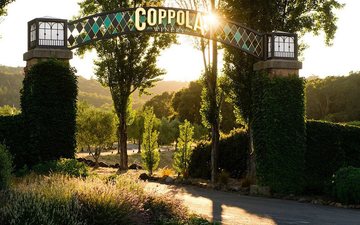 Imagem Eleanor Coppola, proprietária de vinícolas em Napa e Oregon, faleceu aos 87 anos