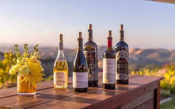 Daou Vineyards foi vendida à Treasury Wine Estates por US$ 1 bilhão