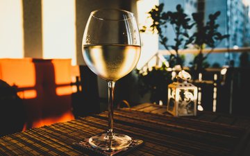 Últimos de dias de um verão super quente pedem vinhos brancos