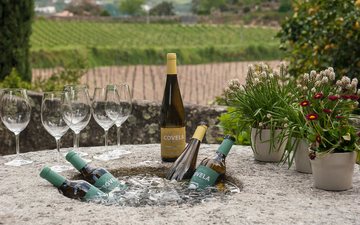 Imagem Quinta da Covela é primeira vinícola portuguesa com certificado de Viticultura Regenerativa