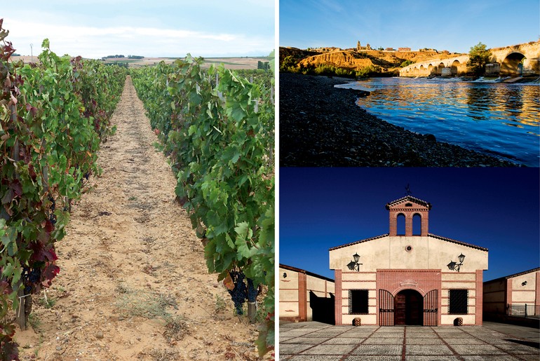 O dinamarquês Peter Sisseck produz um dos vinhos mais cults do mundo, com Tempranillo em Ribera del Duero