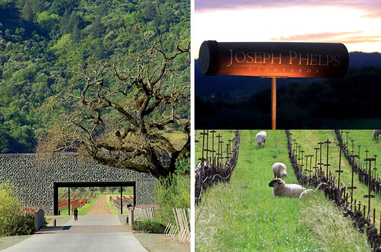 Joseph Phelps adquiriu seus primeiros vinhedos em 1973 e logo se tornou adepto da cultura biodinâmica